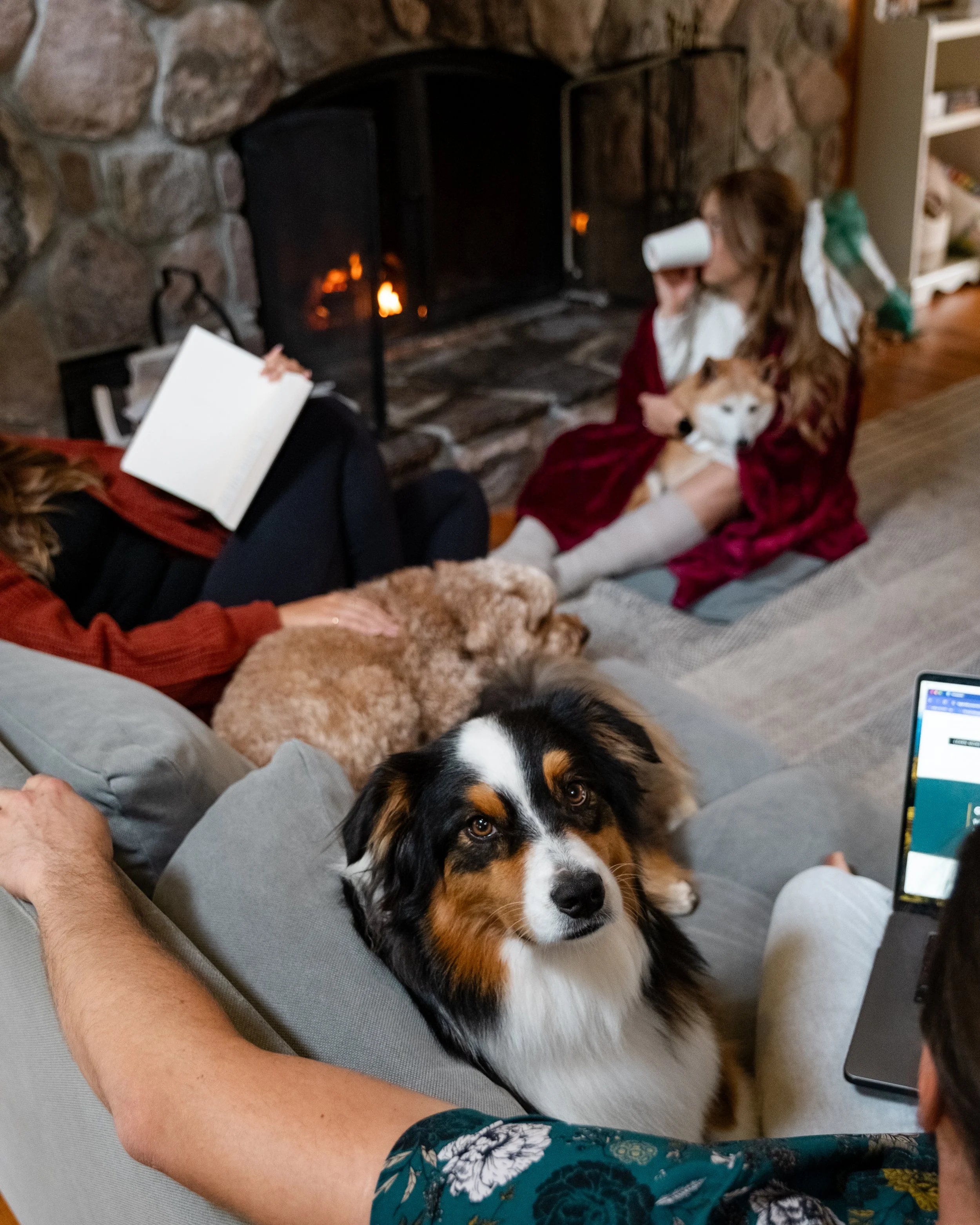 Cozy up by the fire with a good book and your dog