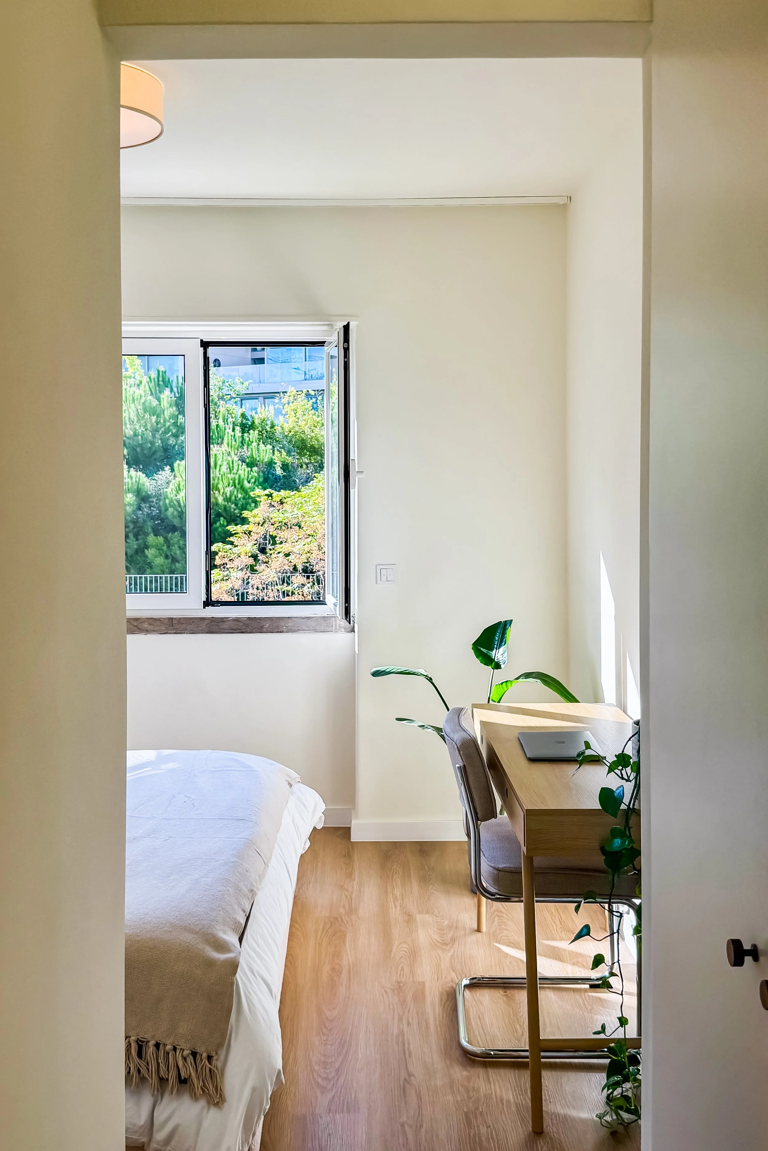 Copy of Infante Santo 56-91.jpg