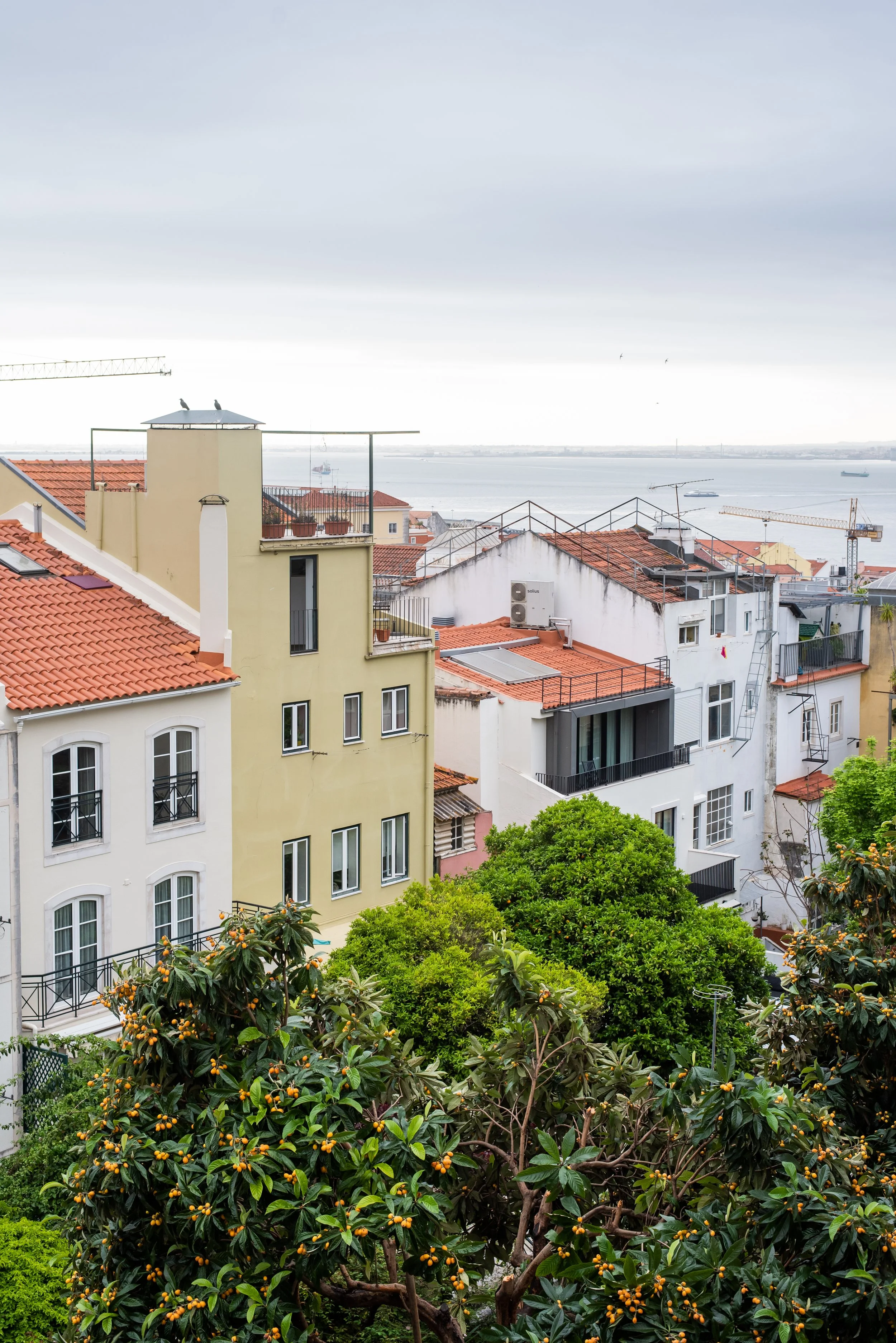 Rua S Felix 30-1.jpg