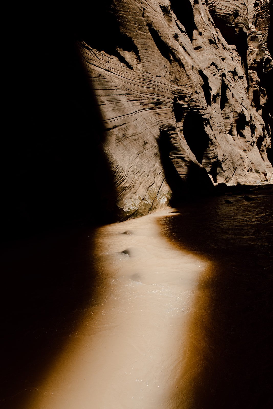 zion-5_websize.jpg