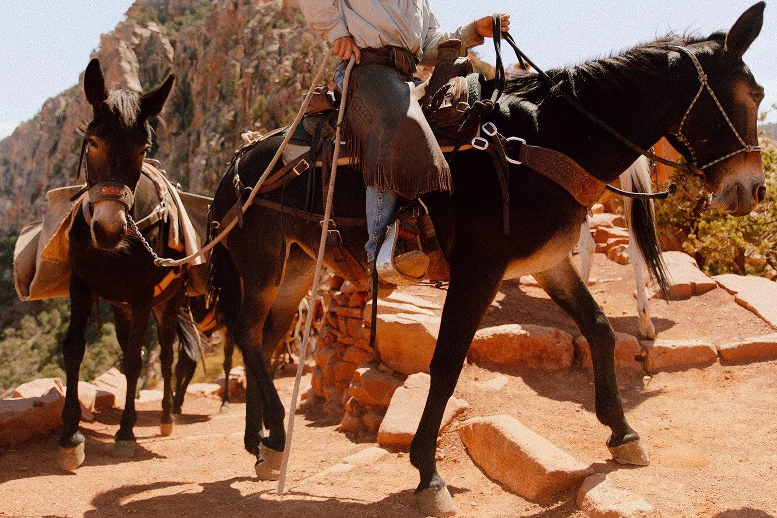 grandcanyon-19_websize.jpg
