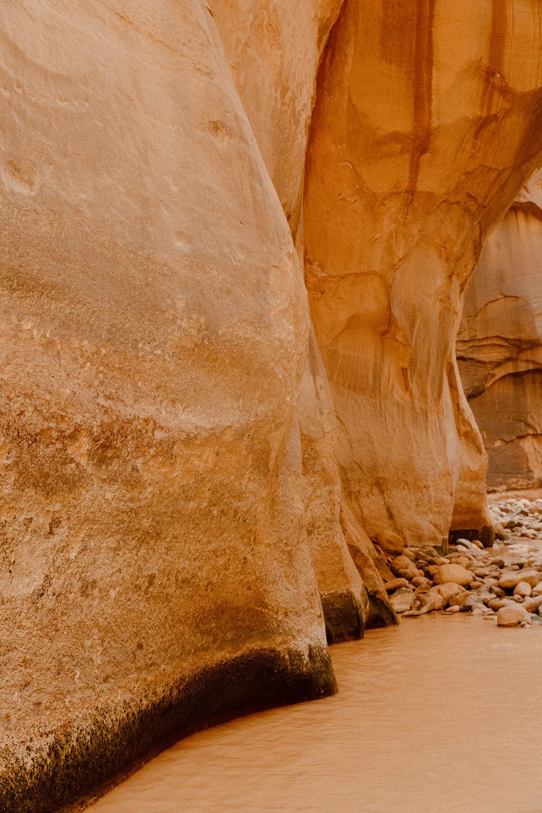 zion-5 (2)_websize.jpg