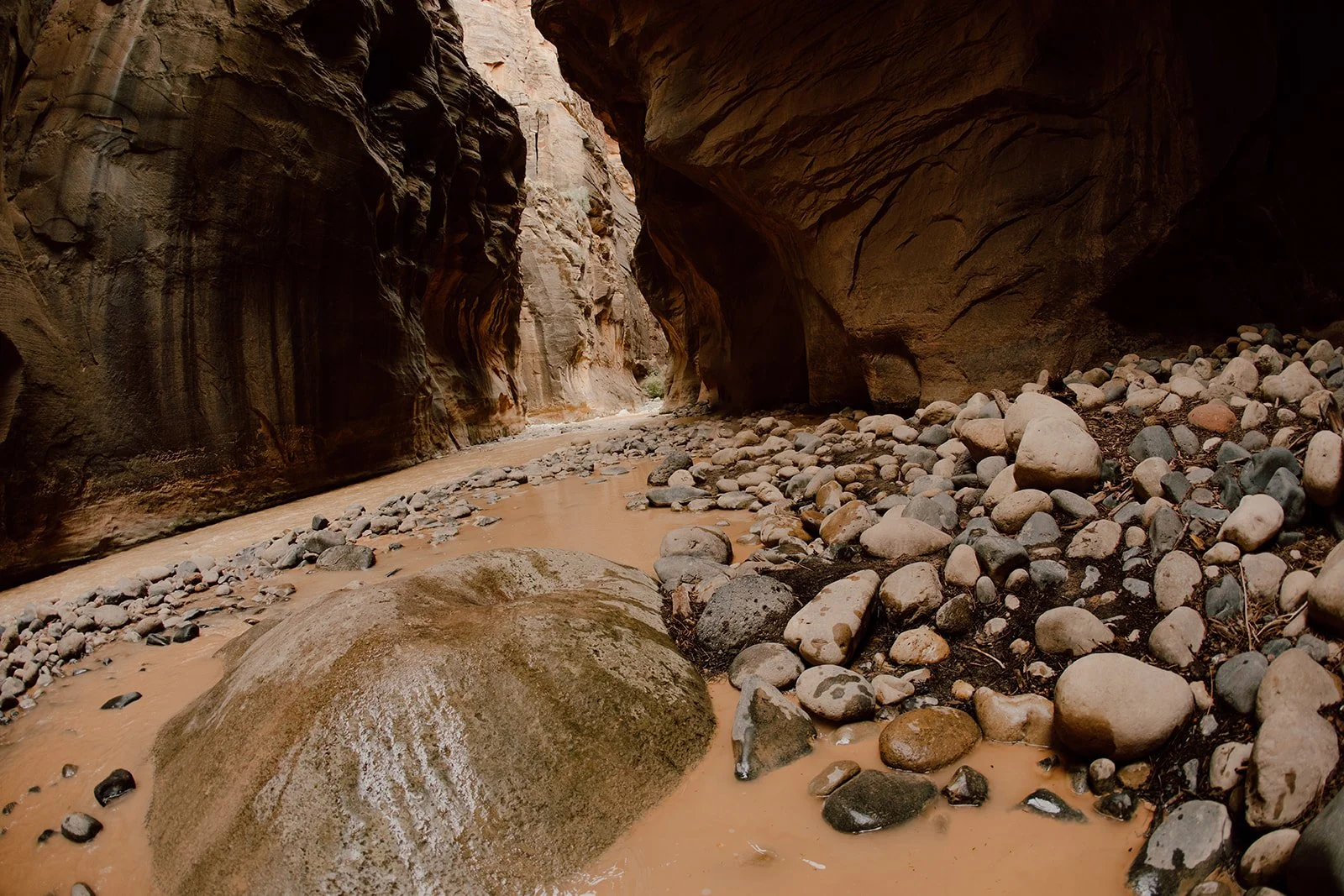 zion-7_websize.jpg