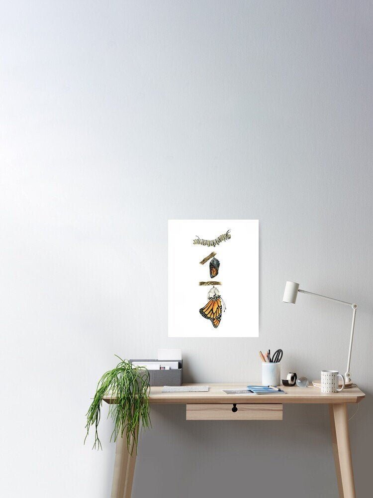 https://i.etsystatic.com/13547835/r/il/215f97/2476334425/il_fullxfull.2476334425_6swo.jpg