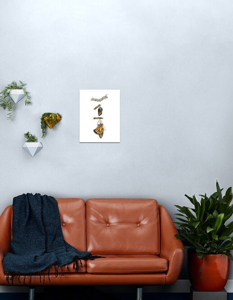 https://i.etsystatic.com/13547835/r/il/ff21bb/2476300109/il_fullxfull.2476300109_gpaq.jpg