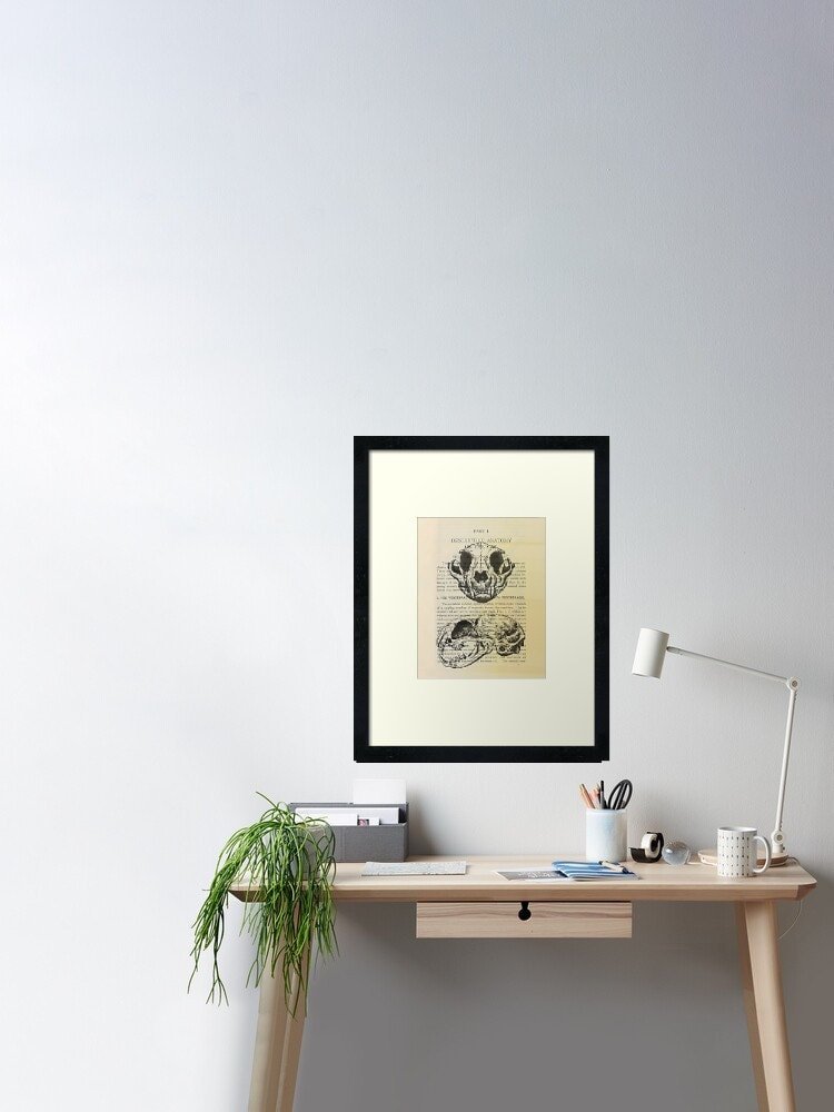 https://i.etsystatic.com/13547835/r/il/2ea39c/2419375775/il_fullxfull.2419375775_h0pq.jpg
