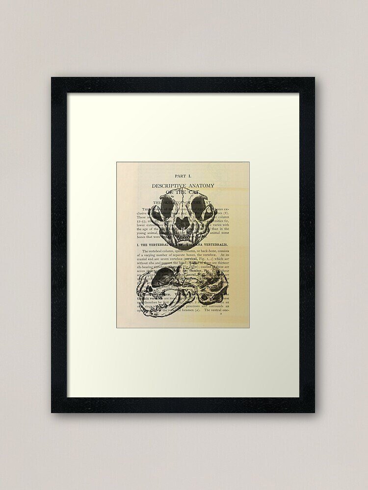 https://i.etsystatic.com/13547835/r/il/80e5cd/2365317200/il_fullxfull.2365317200_6m5c.jpg