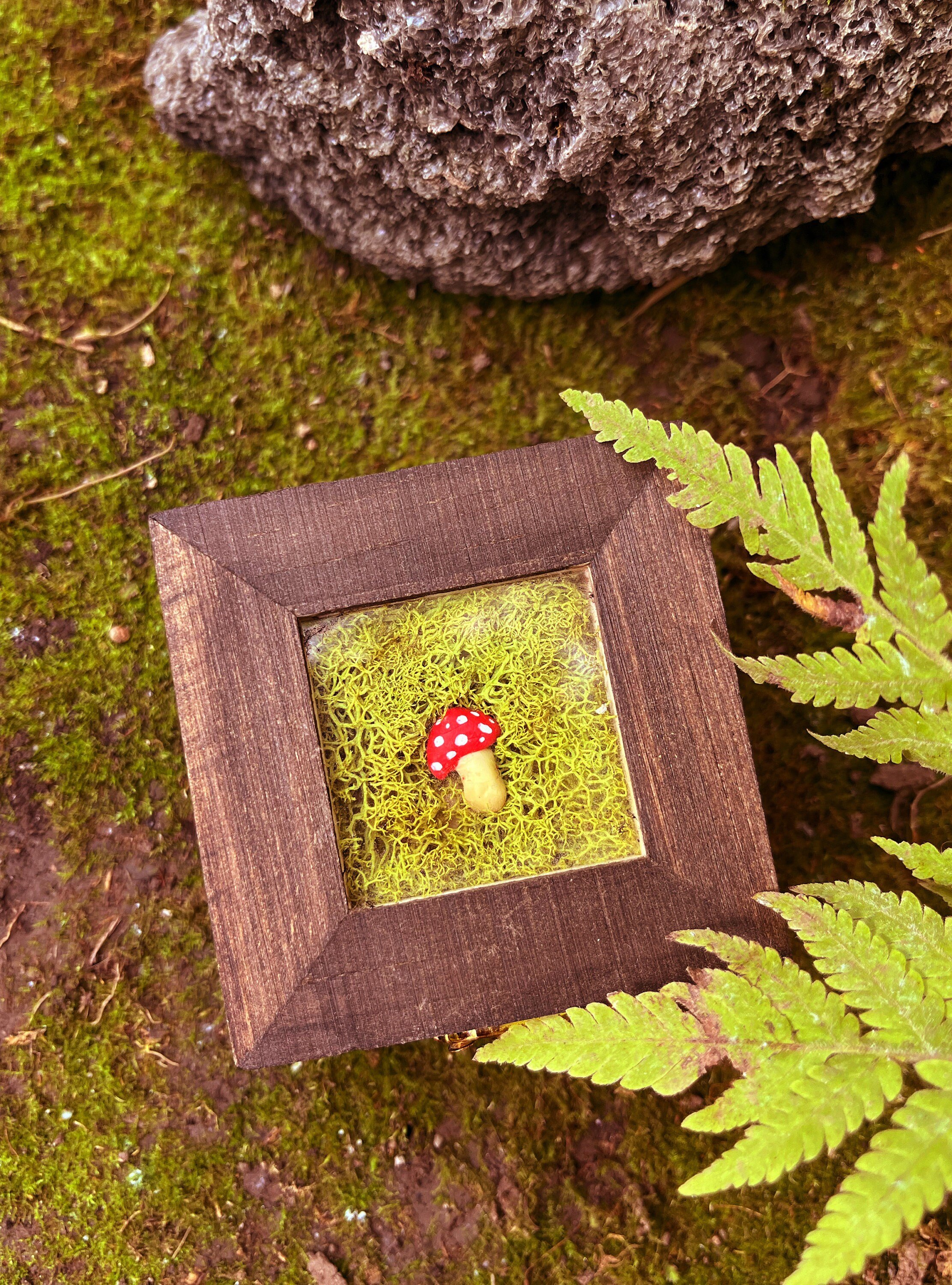 https://i.etsystatic.com/13547835/r/il/b44bc4/4717221411/il_fullxfull.4717221411_scej.jpg