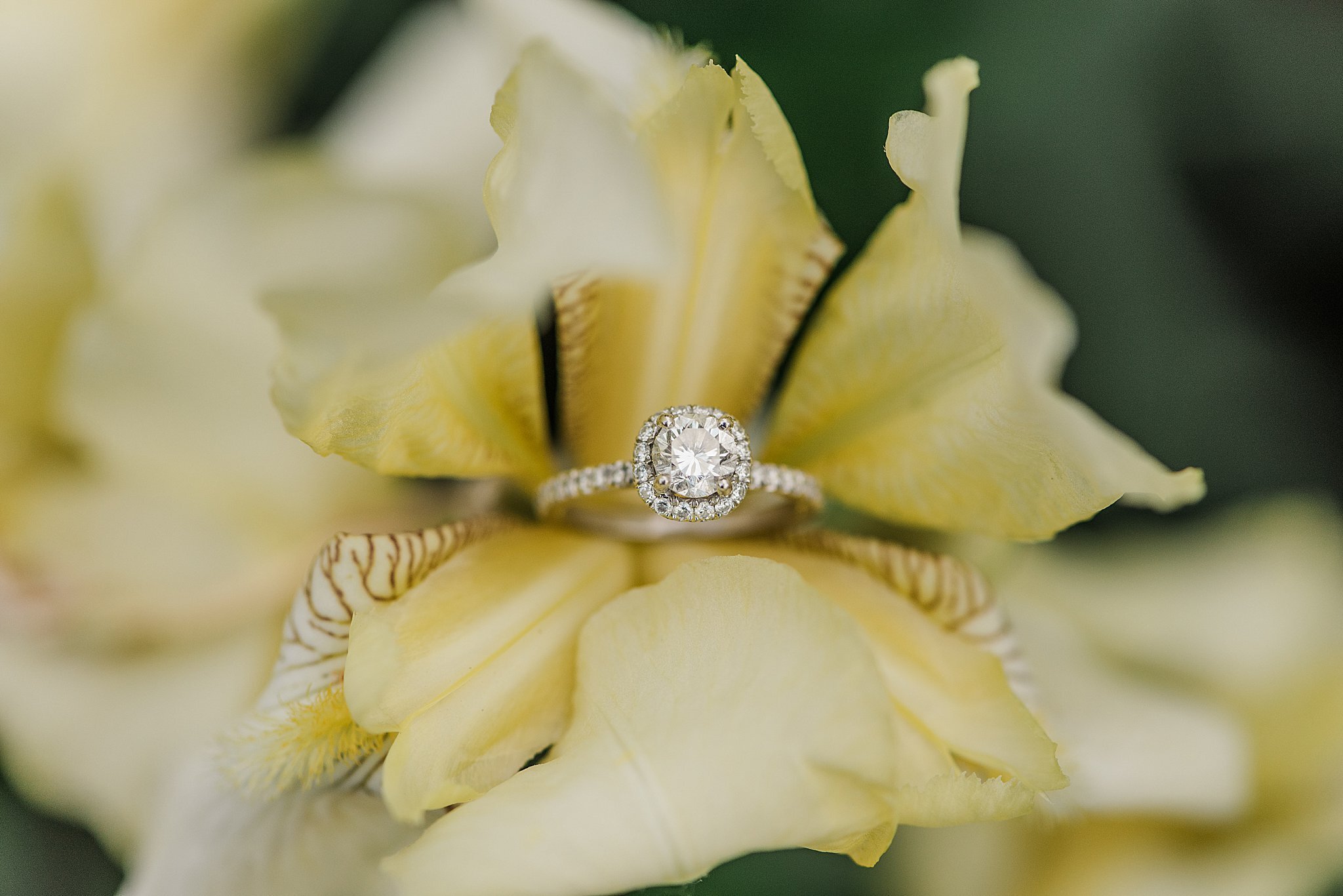 Marian Coffin Gardens of Gilbralter Wilmington DE Engagment Photography Wedding_1397.jpg