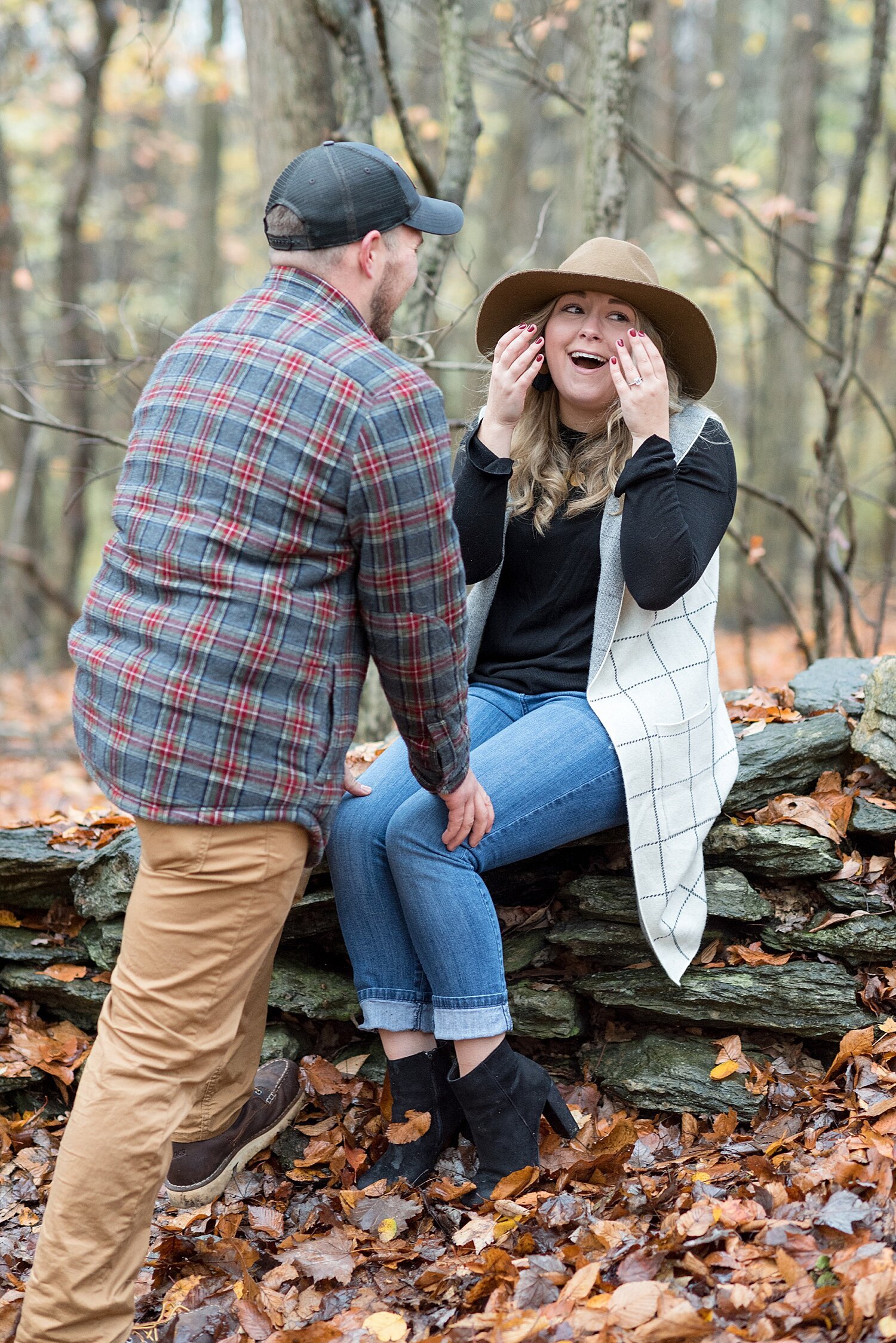 Pinnacle Overlook Holtwood PA Surprise Fall Proposal 