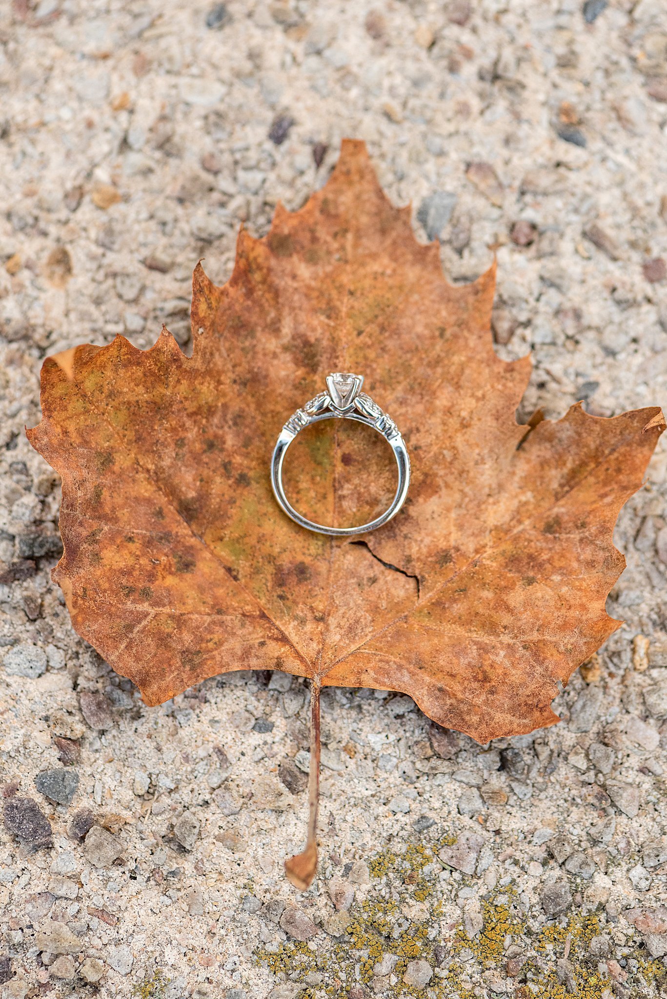 Grings Mill Autumn Engagement Session Photography_8678.jpg