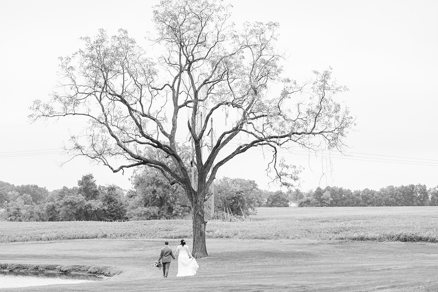 Bride and Groom Portraits Spring Valley Farms Dover PA Wedding Day