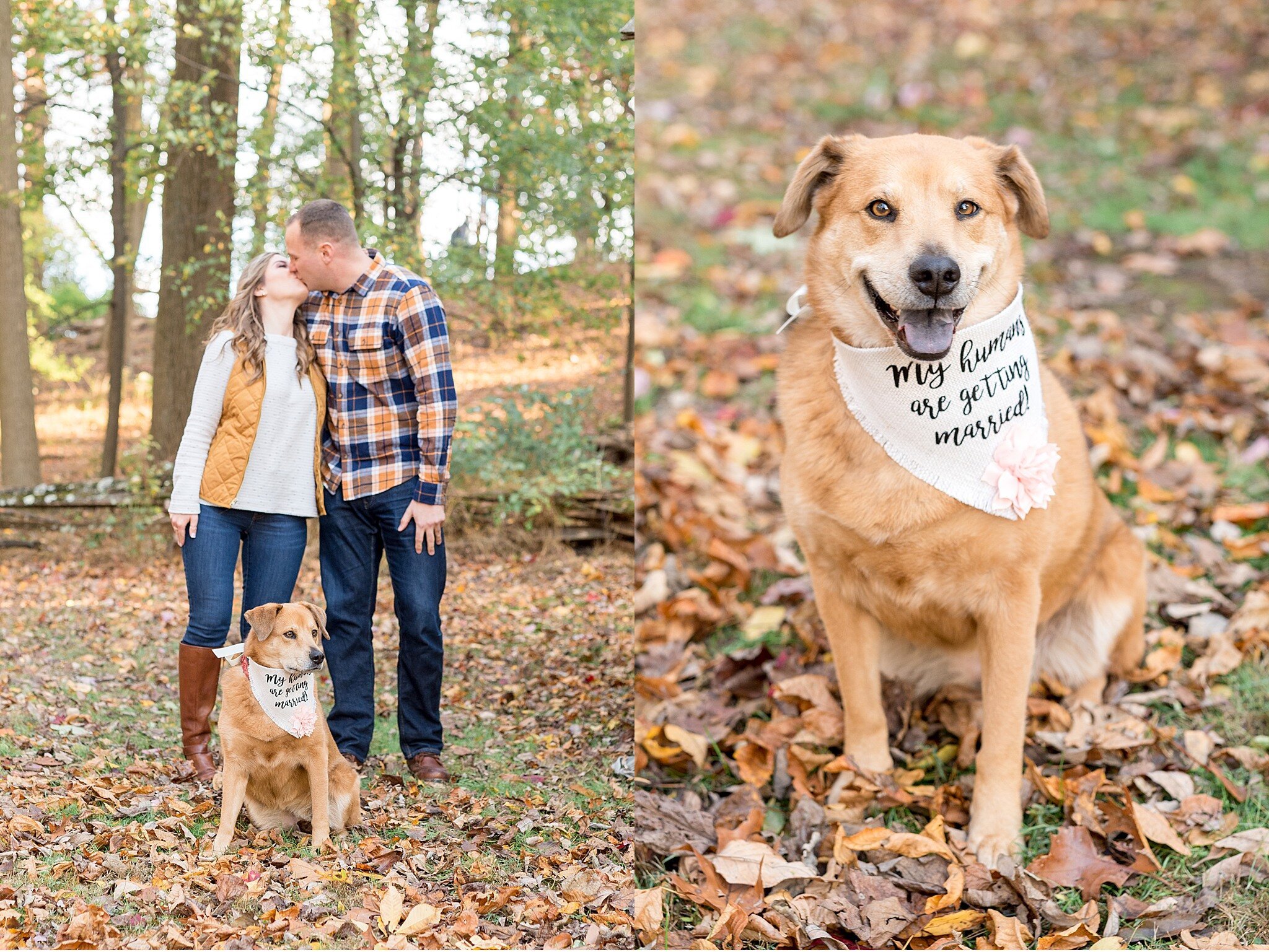 Valley Forge National Park Fall Engagement Session with Dog