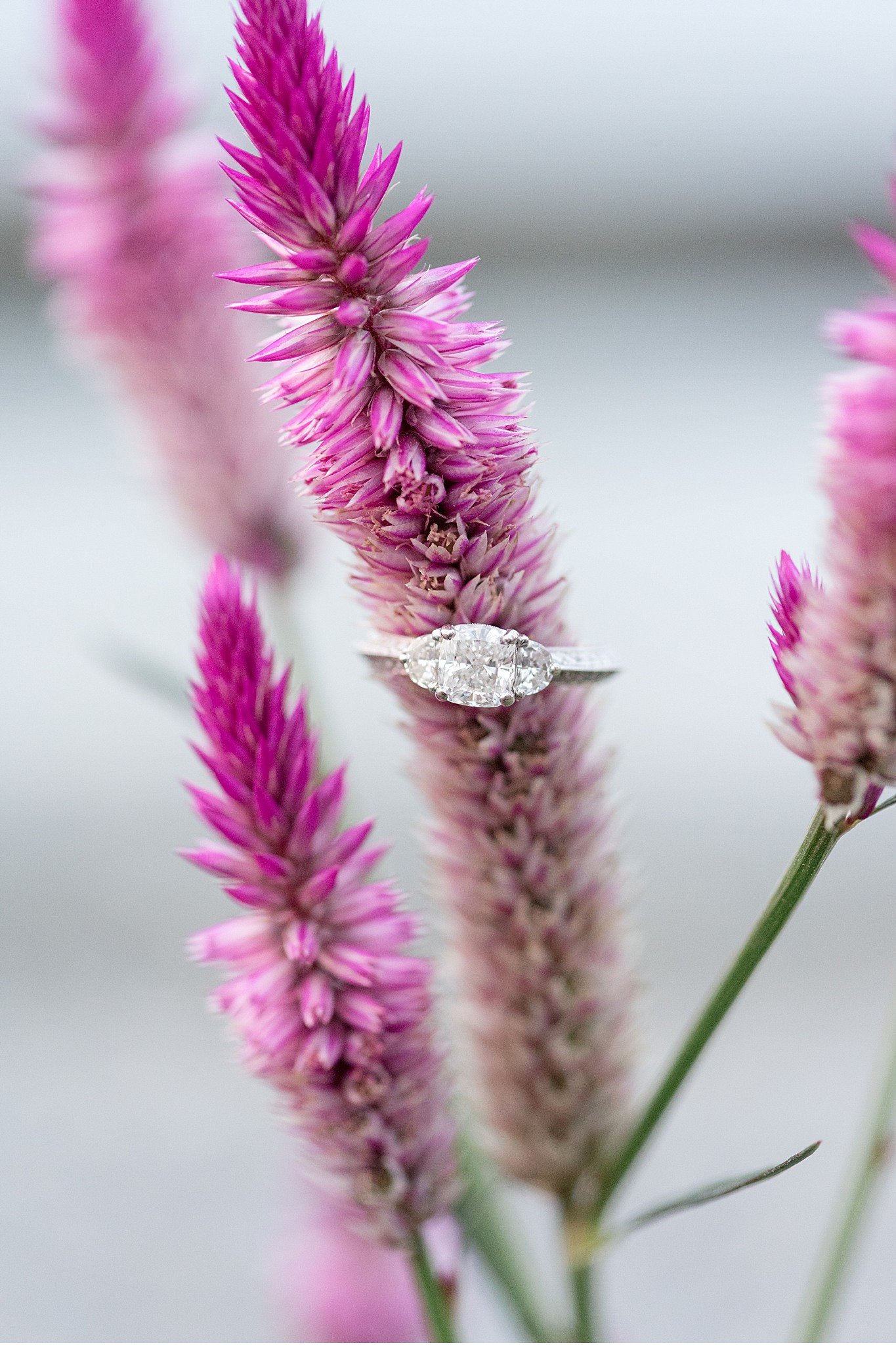 Tudbinks Greenhouse Lancaster PA wedding engagement photography_3976.jpg