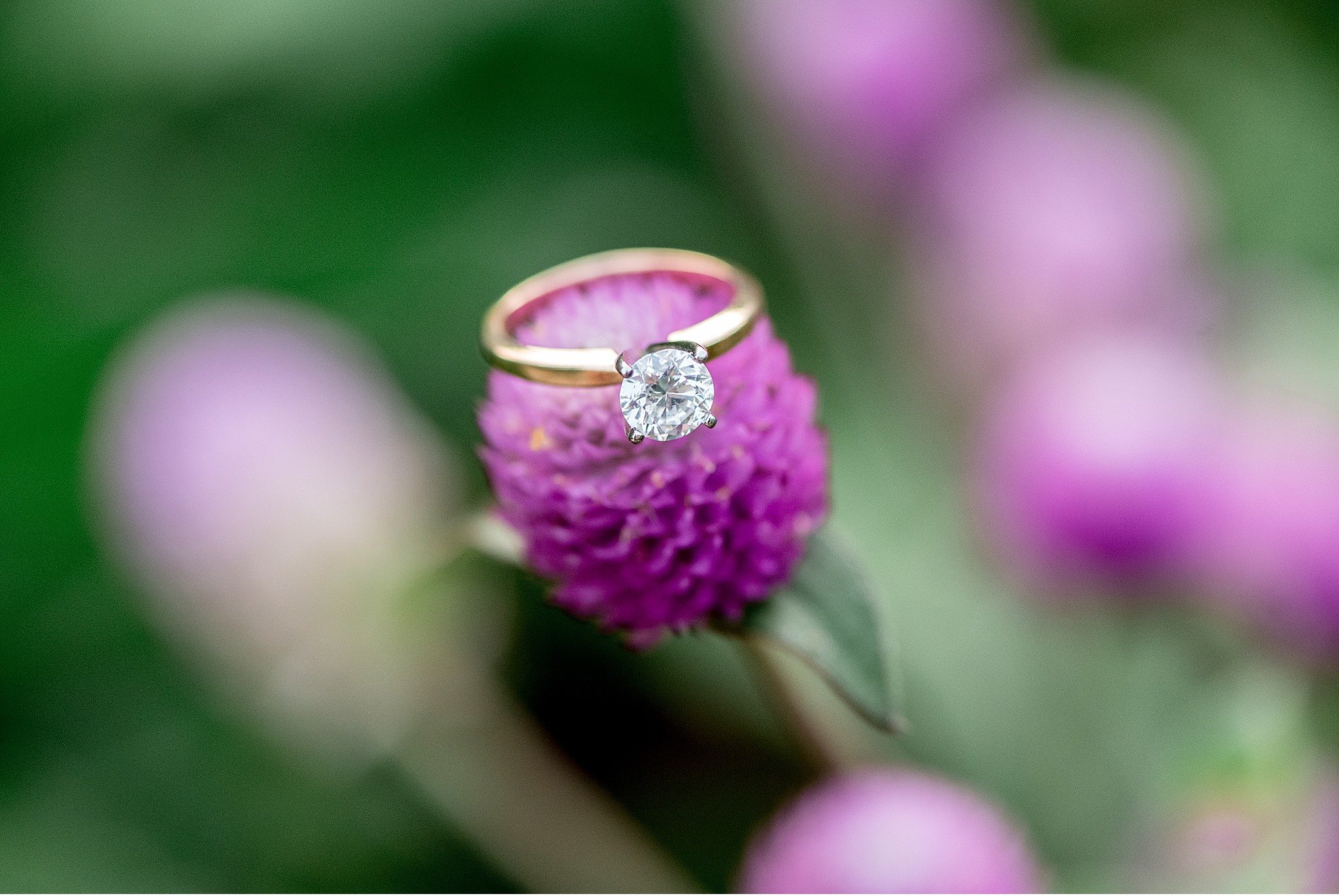 Lancaster County Park PA Summer Engagement Session Ring bling