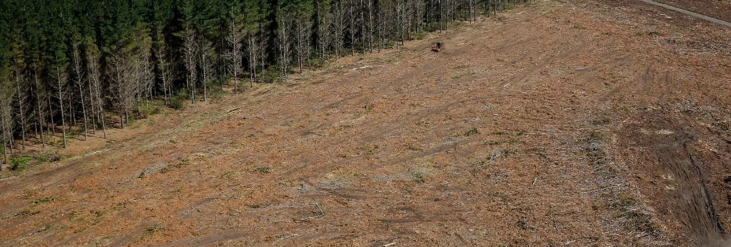 Learn more — Earthans