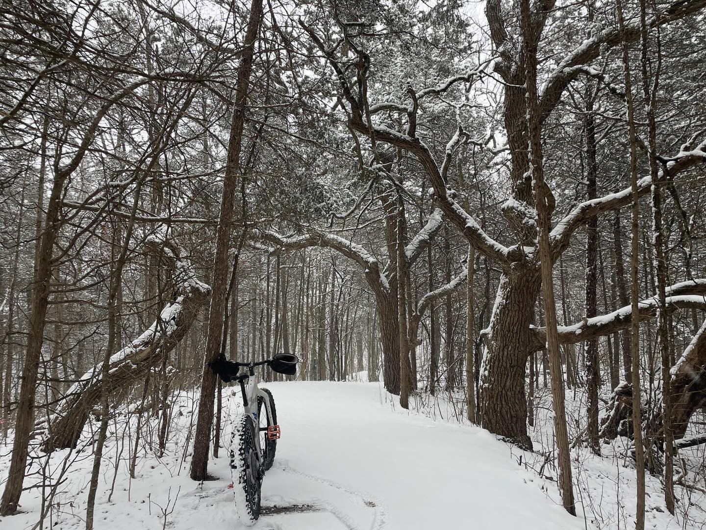 Drop the shovel and pick up the bike.