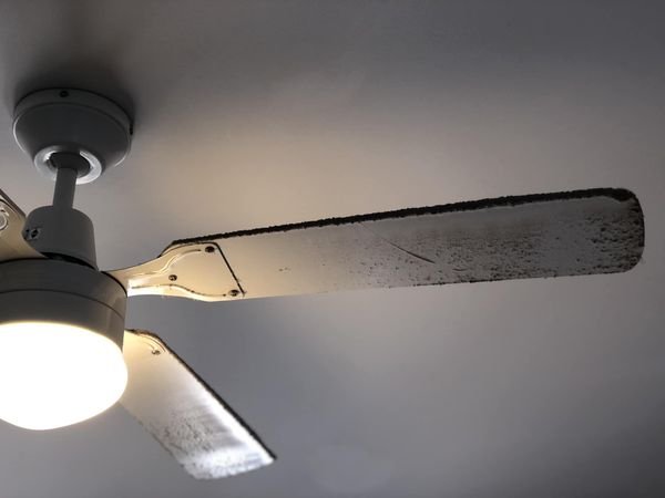 fan.jpg