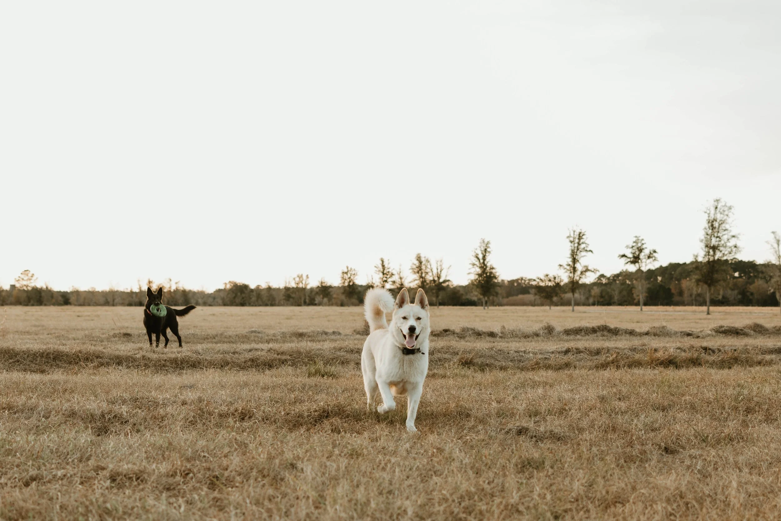 ansleypacettiphotographyy-4484.jpg