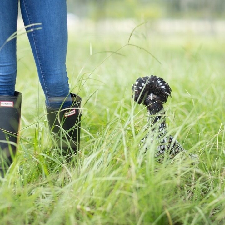 Our acres are turning green, wildflowers are blossoming, and the farm is buzzing with opportunities to sip, dine, explore, and welcome spring. Here&rsquo;s what&rsquo;s happening this season.
⠀⠀⠀⠀⠀⠀⠀⠀⠀
Fridays on the Farm Grounds
Enjoy live music, a 