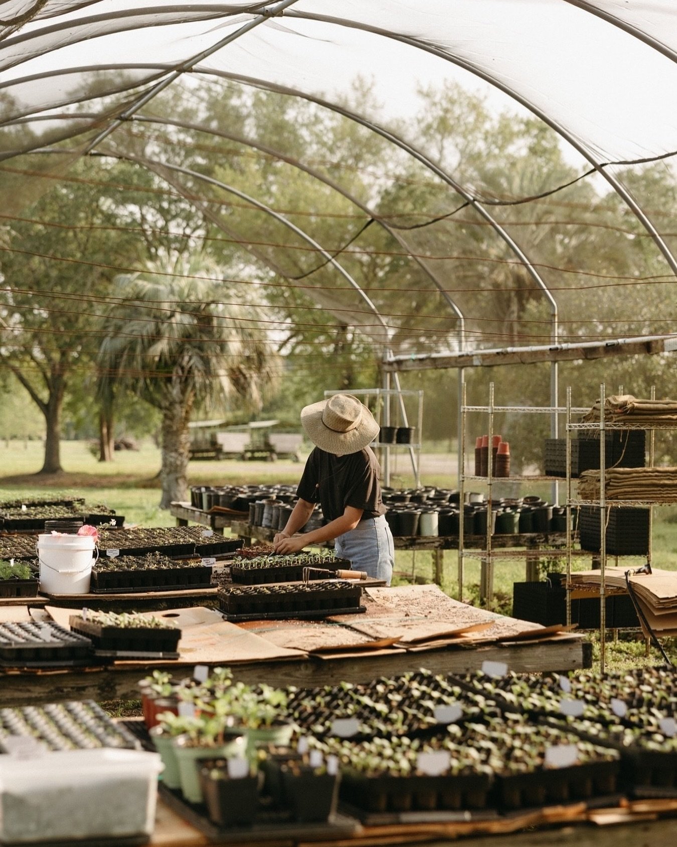 From our little plot of the world to yours, we wish you a happy Earth Day. 🌎
⠀⠀⠀⠀⠀⠀⠀⠀⠀
Photo by @stefaniekeeler #congareeandpenn #floridafarm #earthday