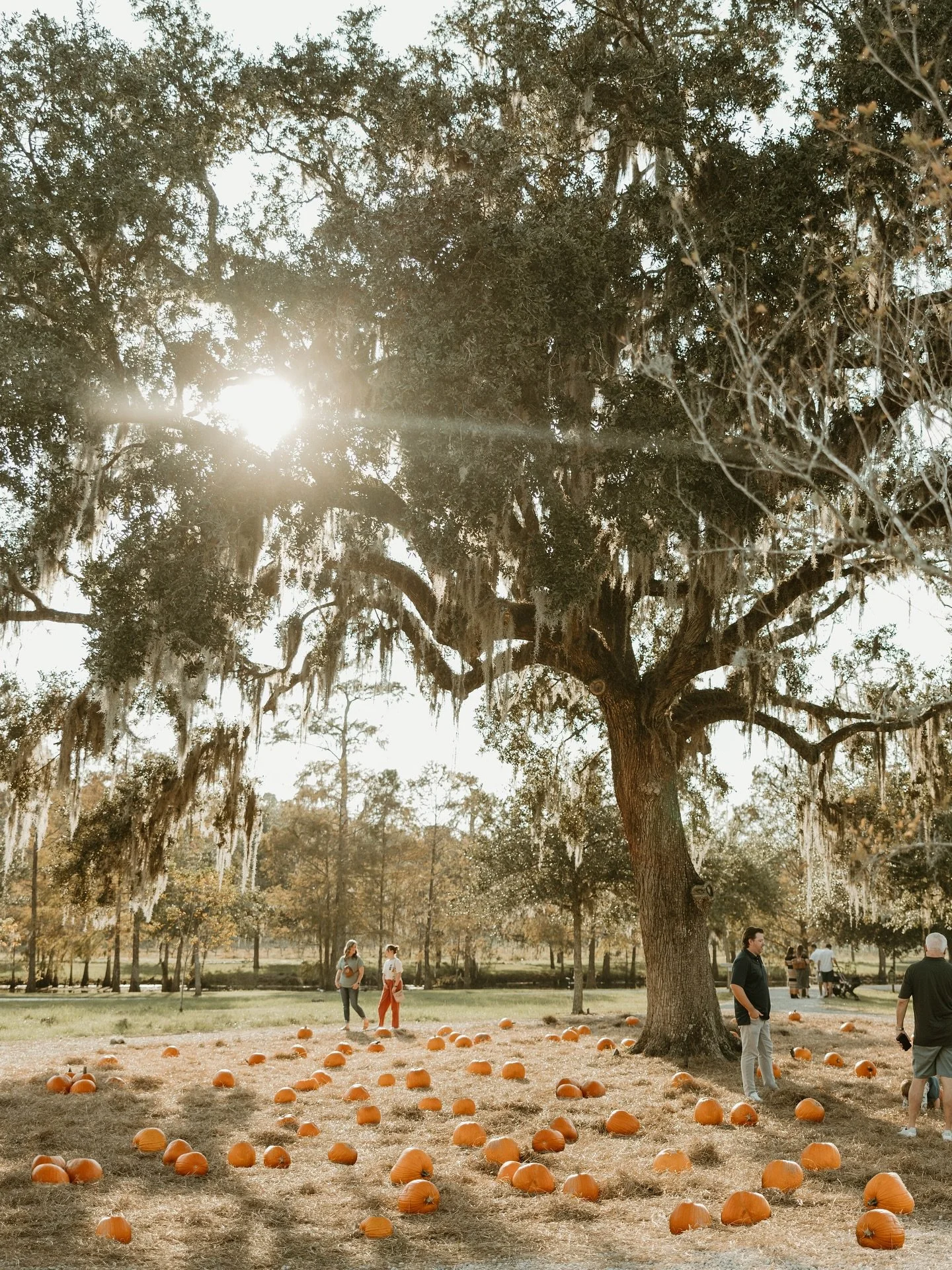 When fall is your favorite season, you kick it off at the most delightful pumpkin patch in town. Join us September 26 through November 2.
⠀⠀⠀⠀⠀⠀⠀⠀⠀
How It Works
⠀⠀⠀⠀⠀⠀⠀⠀⠀
You&rsquo;ll Need a Farm Pass
Purchase farm passes when you arrive. A farm pass