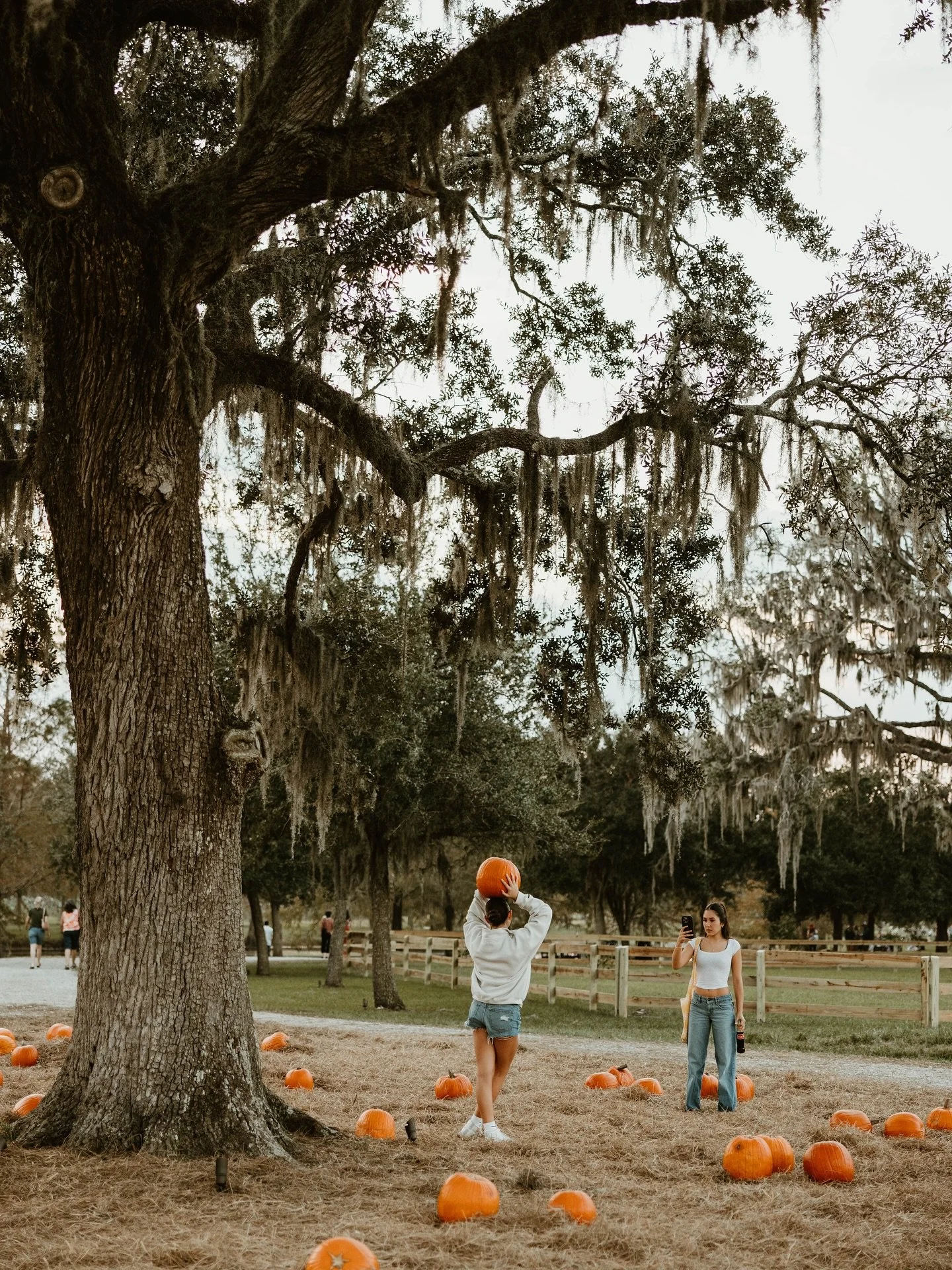 Boo! 🎃 Join us for Halloween and the last weekend of the pumpkin patch and Fall on the Farm Grounds! Here&rsquo;s what&rsquo;s happening this weekend at Congaree and Penn.

Friday, October 31

Pumpkin Patch /  4:00 pm - dusk
Food Truck E&amp;W Barbe