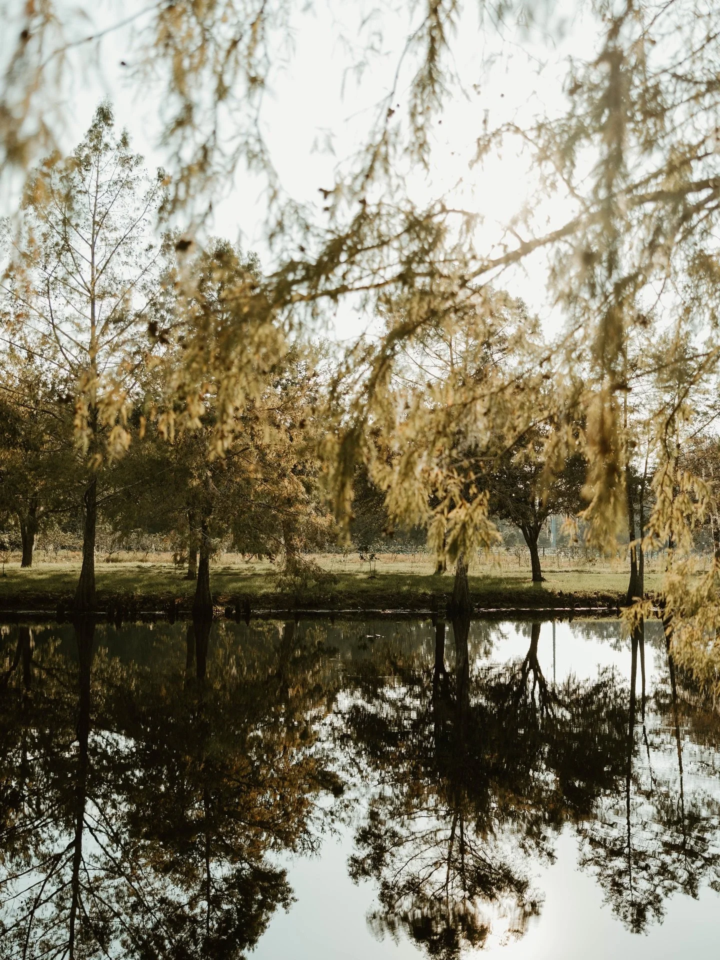 Come home to the quiet rhythm of the farm &ndash; make one of eleven homesteads at Congaree and Penn your own. Set among acres of orchards, meadows, and open sky, the Eleven offers a private pastoral setting adjacent to forests, nature trails, and a 