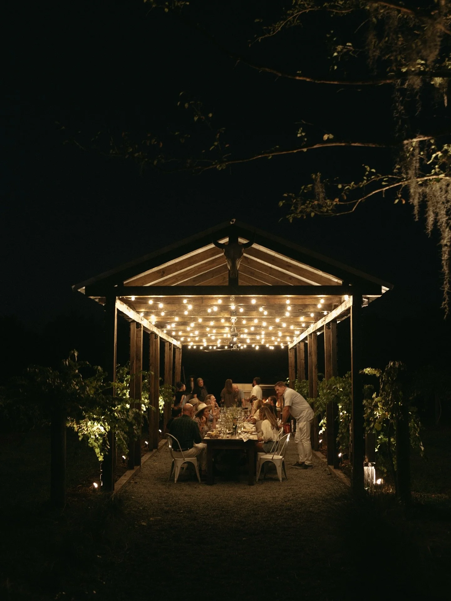 Share a dash of holiday magic among the grapevines. Learn more and make a reservation at congareeandpenn.com/grapevines.

Photo by @stefaniekeeler