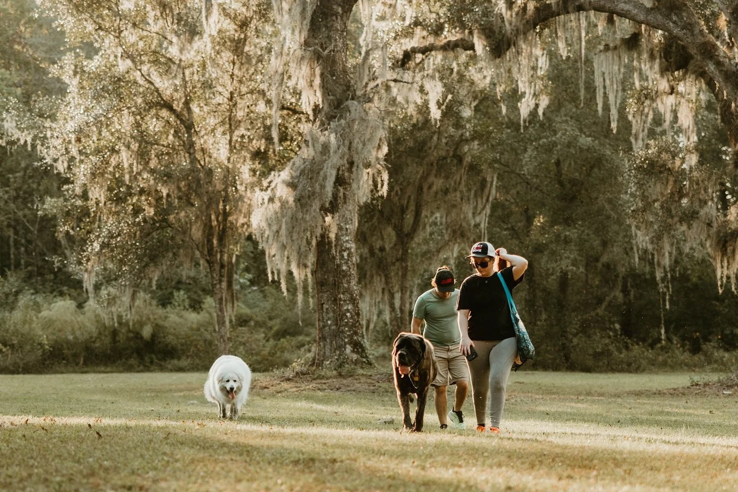 Join us at Canine Field Day &ndash; where dogs can be dogs. It&rsquo;s an off-leash outdoor adventure on Congaree and Penn&rsquo;s acres. Enjoy the wilder side of the farm in wide open fields, meandering trails, and swimming holes.

November 23 + 30

