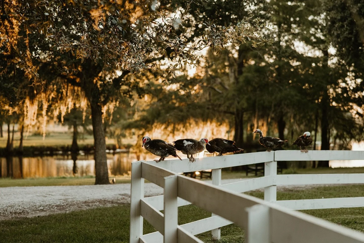 A bright and shiny year is ahead! Join us in 2026 to celebrate your best days, to revel in the great outdoors, and to sip, dine, and explore our acres. 

Learn about what&rsquo;s happening at Congaree and Penn at congareeandpenn.com/calendar. Can&rsq