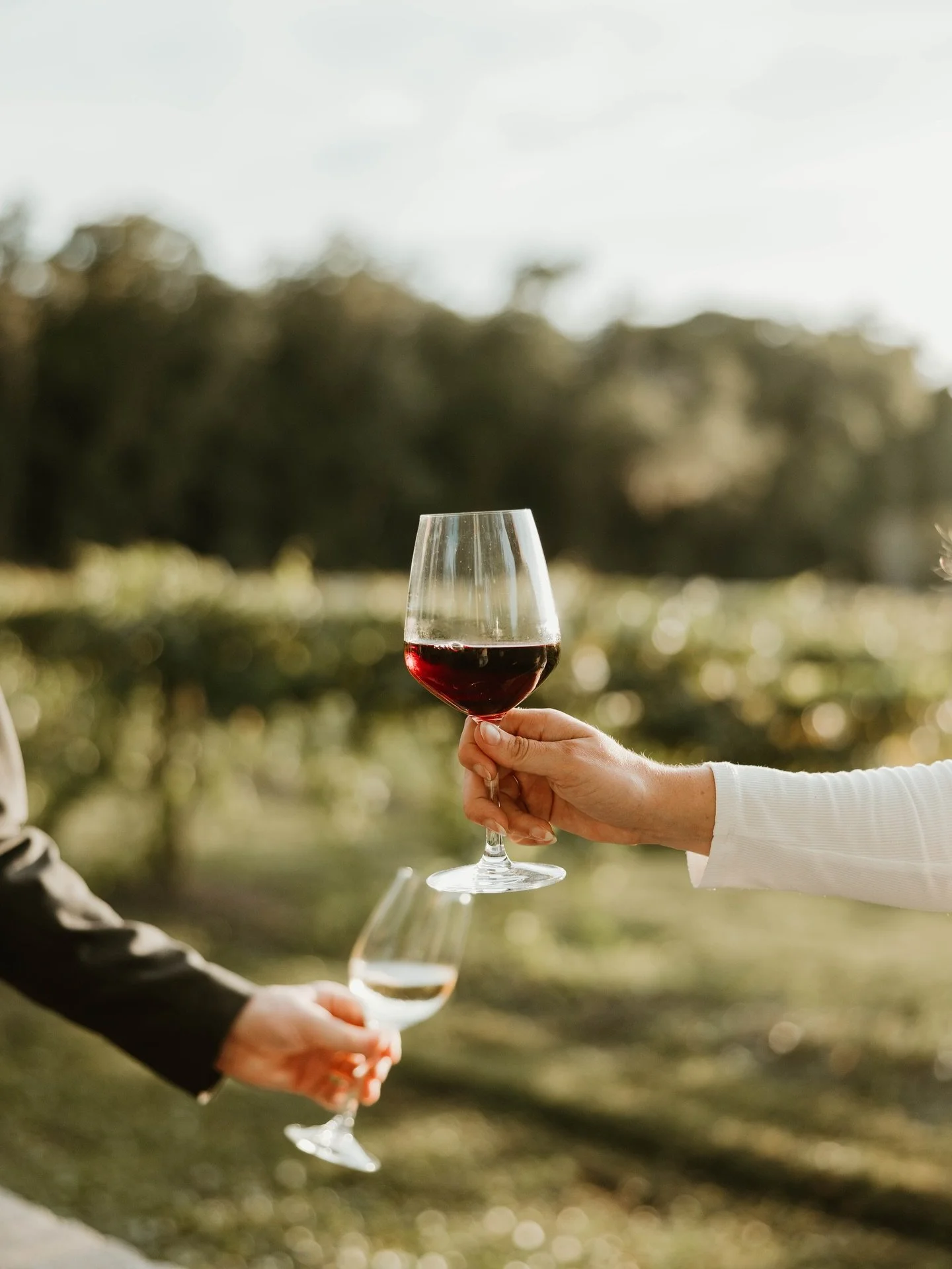 Among its many other titles, Congaree and Penn is classified as a winery. But guess what &ndash; we don&rsquo;t make wine. We make cider!

In Florida, cideries are classified as wineries because state law defines &ldquo;wine&rdquo; broadly to include