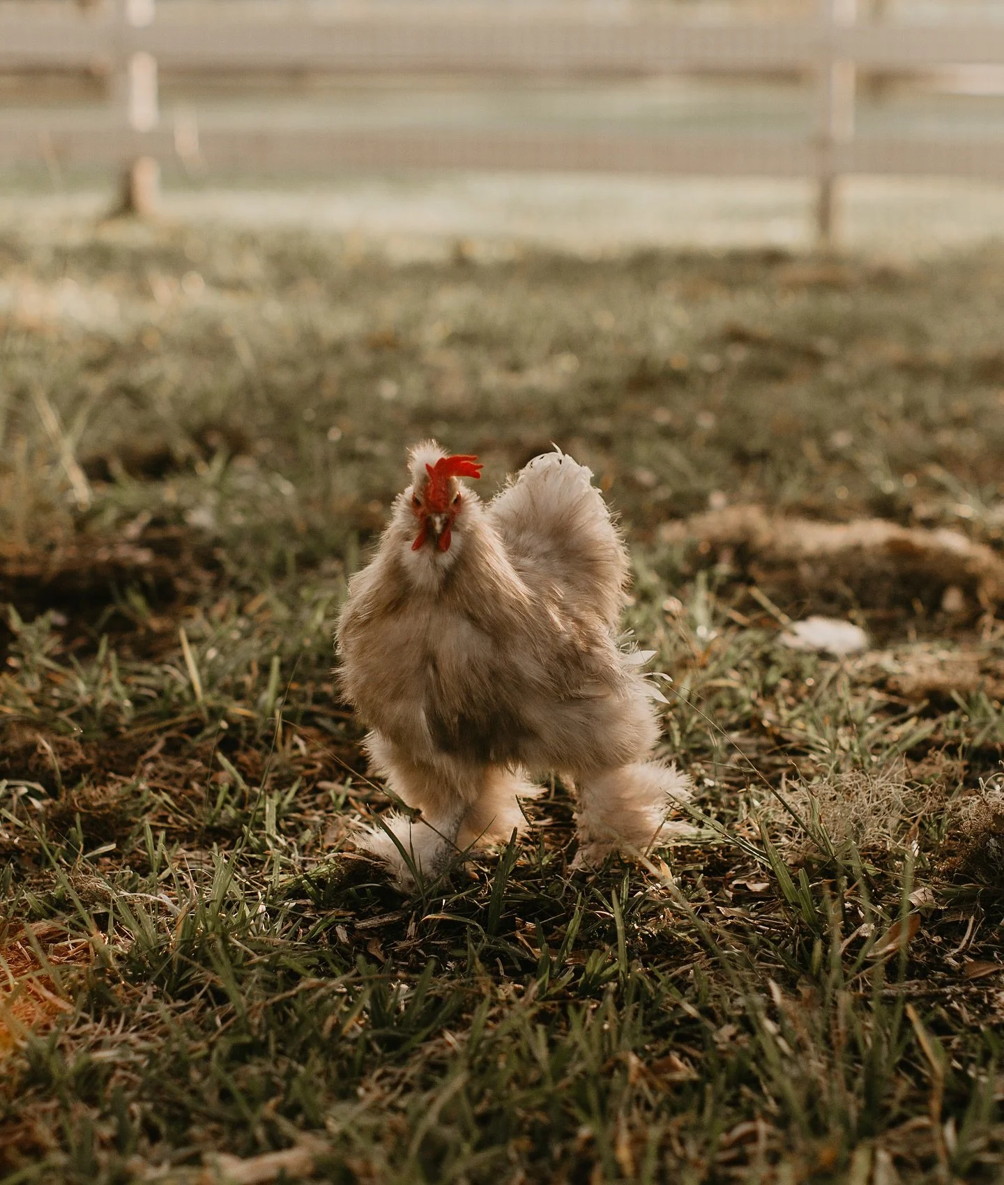 Bundle up this weekend, farm friends! We hear it&rsquo;s going to be a chilly one, but we&rsquo;re here to keep you toasty with libations, hot lunch, and hot dinner. And if you plan on hibernating instead, here&rsquo;s a list of really good things to