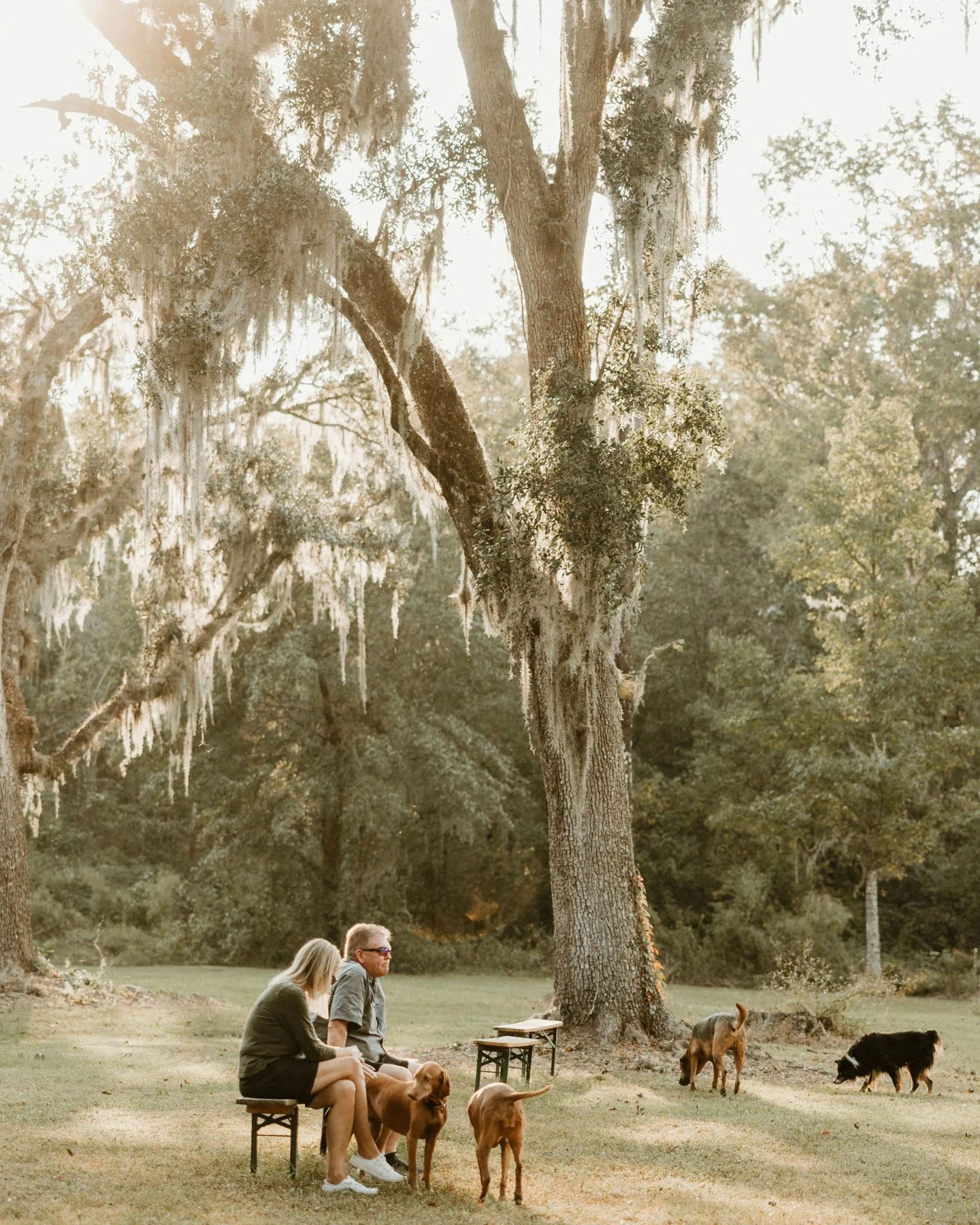 Join us Sunday, April 26th for the final Canine Field Day of the season. It's your last chance until fall to treat Fido to an off leash adventure at Congaree and Penn. Pair your visit with live music on the farm grounds and dinner on the patio.

Lear