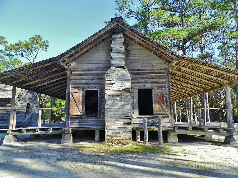 florida-dogtrot-d-hackett.jpg