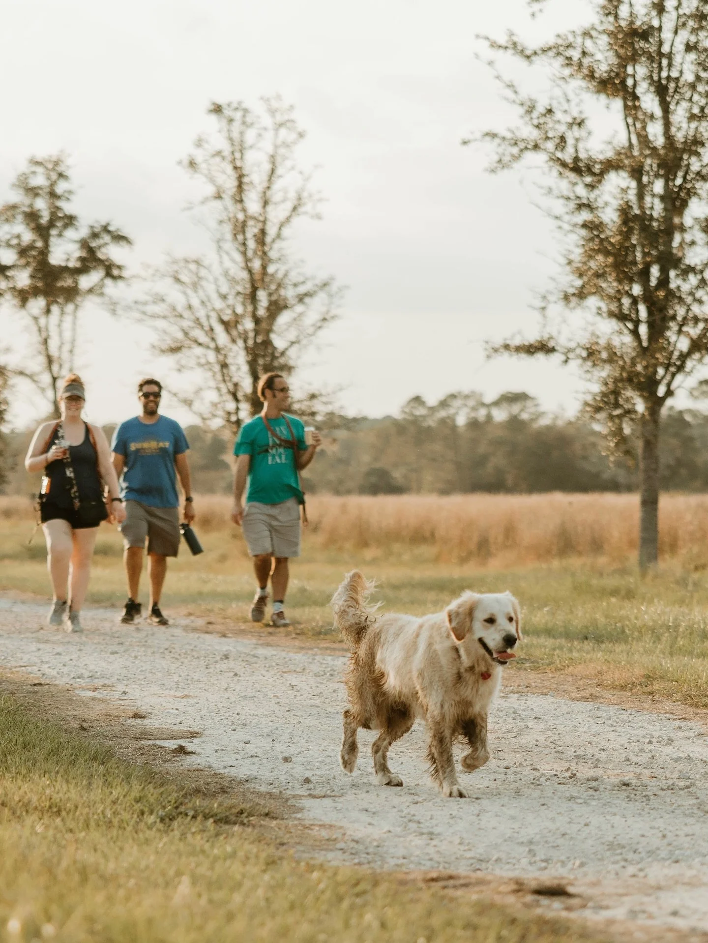 The dog days of summer are dwindling, and if you&rsquo;re a dog person, you know what that means. Canine Field Day returns! It&rsquo;s an off-leash outdoor adventure on Congaree and Penn&rsquo;s acres. Enjoy the wilder side of the farm in a wide open