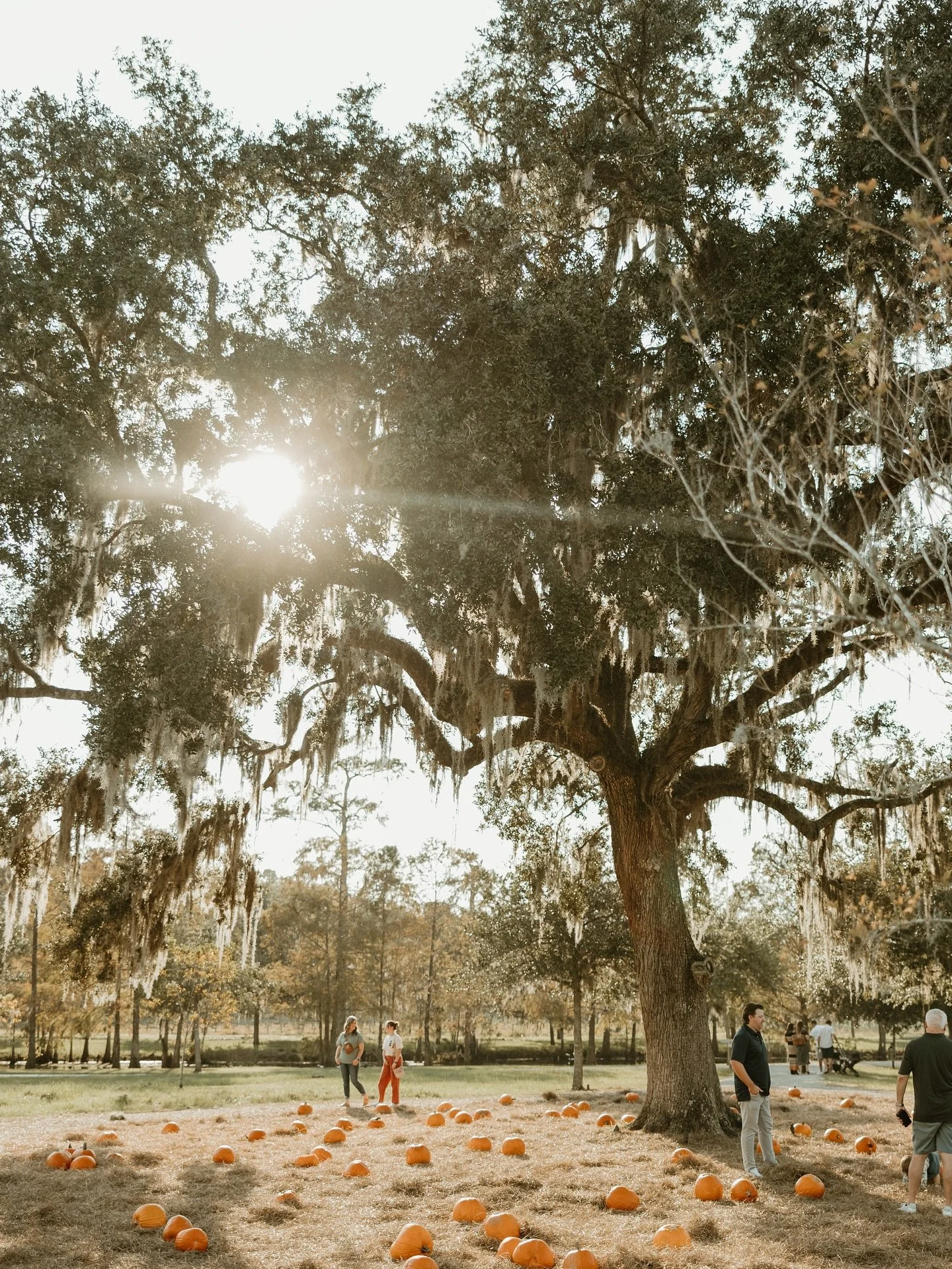When fall is your favorite season, you kick it off at the most delightful pumpkin patch in town. Join us September 24 through November 1.
⠀⠀⠀⠀⠀⠀⠀⠀⠀
How It Works
⠀⠀⠀⠀⠀⠀⠀⠀⠀
You&rsquo;ll Need a Farm Pass
Purchase farm passes when you arrive. A farm pass