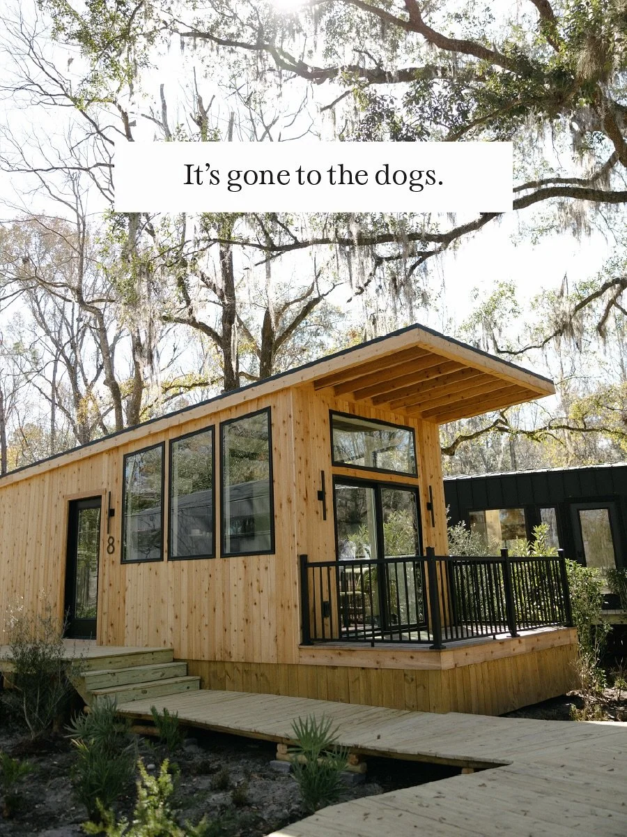 If you know us, you know that we love dogs. We believe that every dog should get to be a farm dog, even if it&rsquo;s just for a weekend. So, come. Sit. Stay with us! 

The Egret and the Nook are both dog friendly bungalows, and Congaree and Penn is 