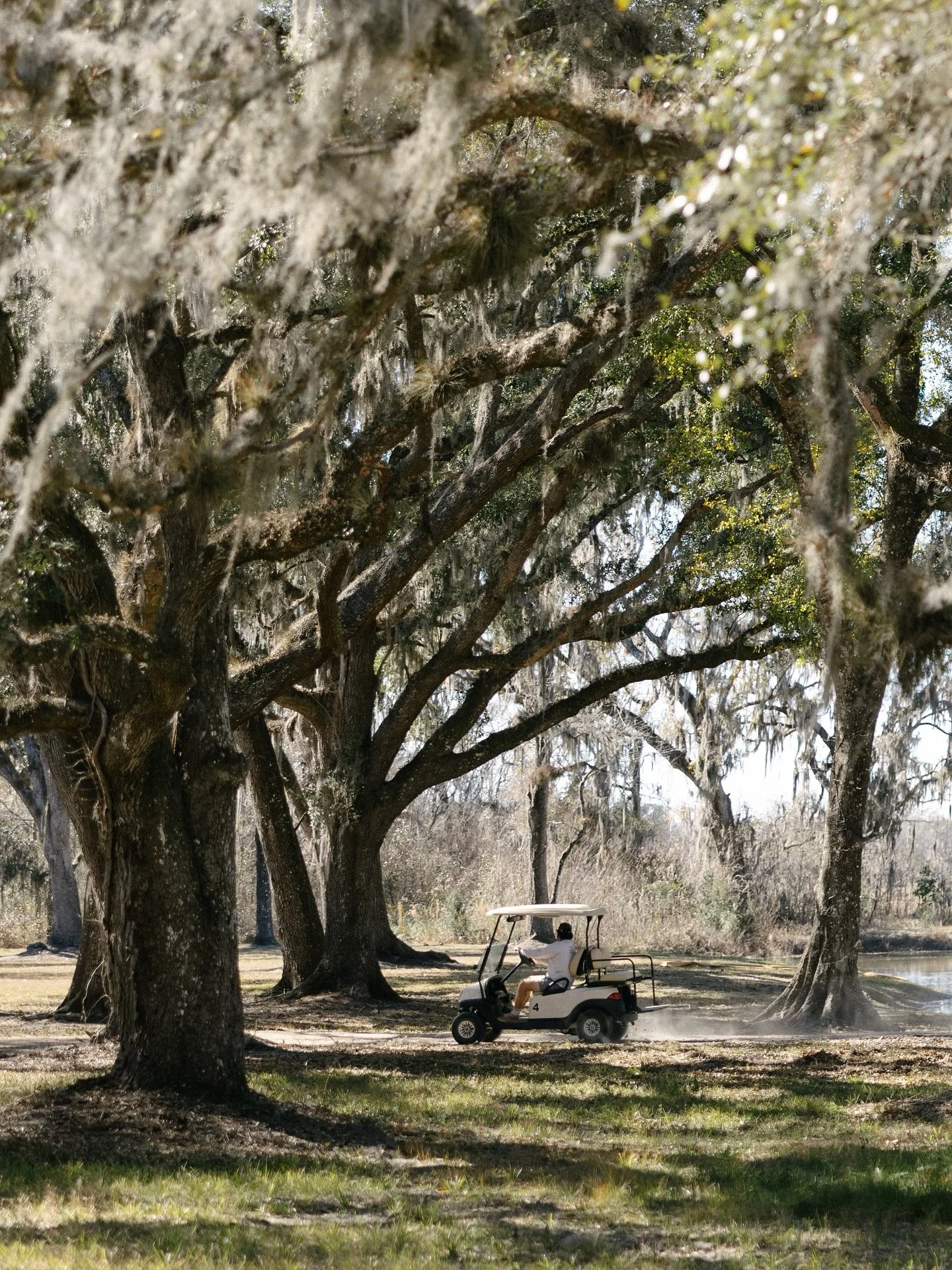 Zoom zoom. If you can&rsquo;t wait to explore Congaree and Penn&rsquo;s 300 acres, but you aren&rsquo;t keen on hoofing it, we&rsquo;ve got wheels for you. Both daytime and overnight guests can cruise through the farm grounds &ndash; it&rsquo;s a ver