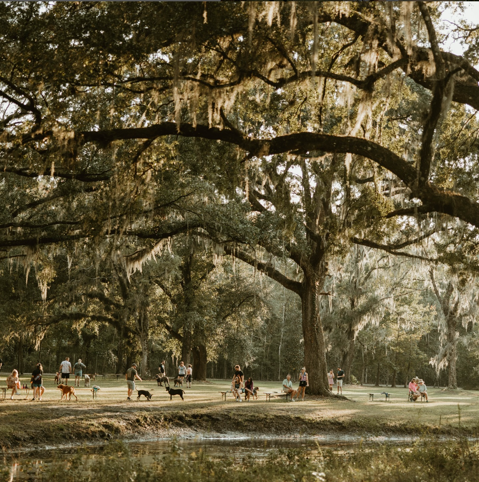 C+P Screenshot- 4-need original file.png