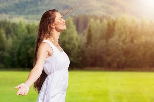 The Vitamin D-Gut Connection