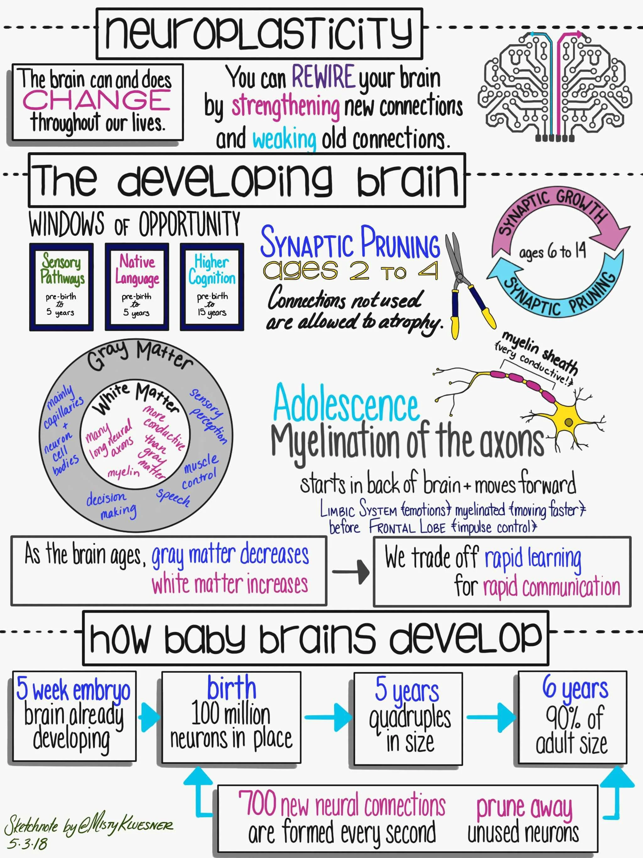 BrainBasedLearning-Sketchnote-Week2a.jpg