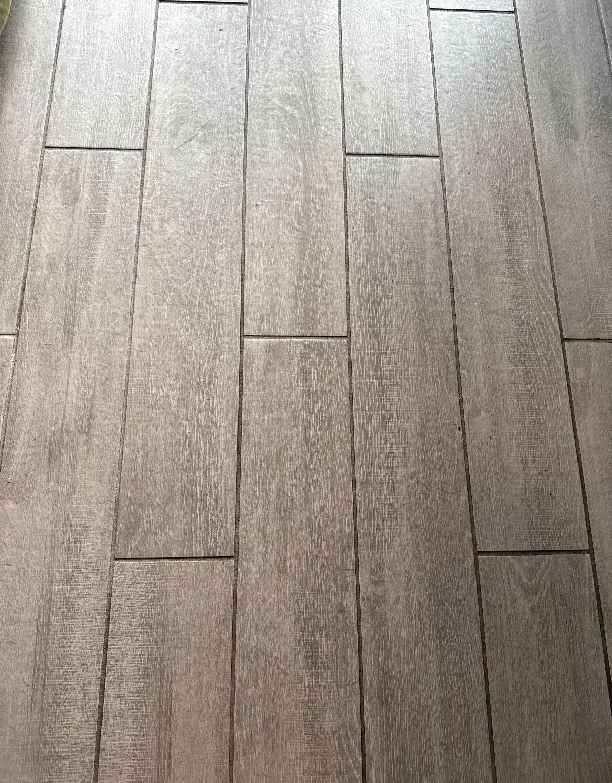 BEFORE (Grout Color Sealing)