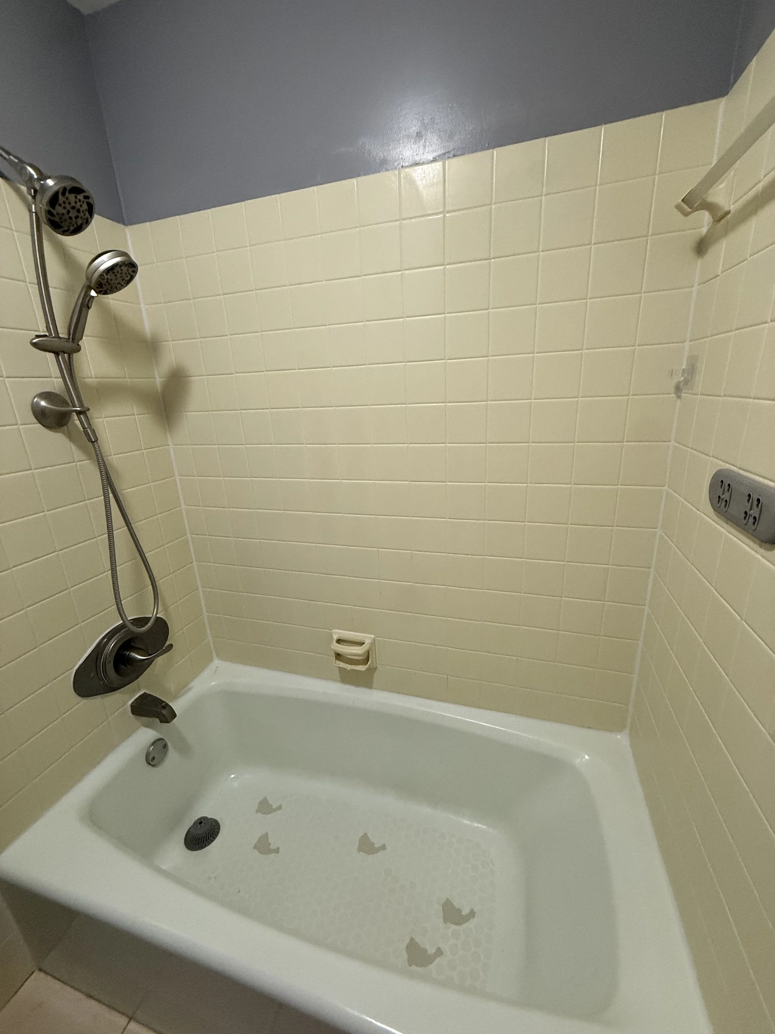 AFTER (Grout Color Sealing)