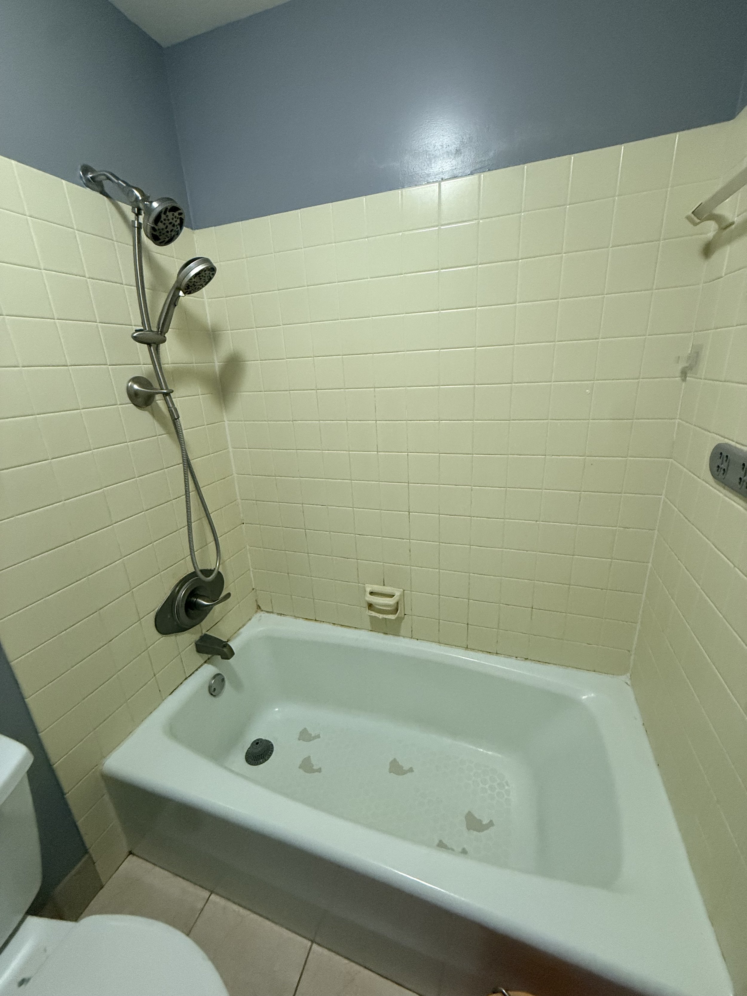 BEFORE (Grout Color Sealing)