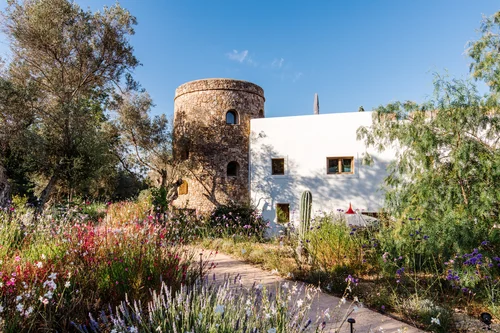 Finca Delica photo 5