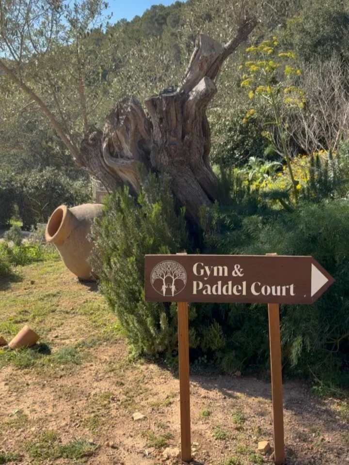 From the gym through the greenhouse - San Lorenzo was built for how you actually want to feel on holiday.

Bespoke equipment, a padel court among the pines, and a biodynamic greenhouse growing everything that ends up on your plate.

This is the reset