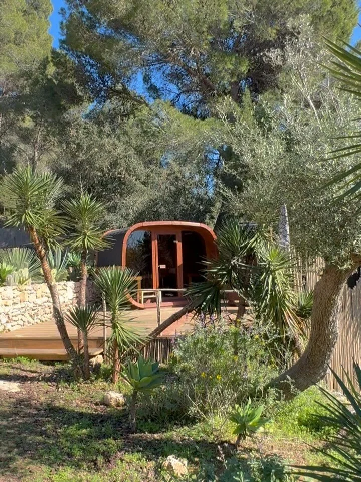 At San Lorenzo, the sauna sits among the olives and the palms - the kind of place you come to for an hour and lose track of the afternoon entirely.

Step into the cold plunge and feel yourself calm. 

Deeply restorative. 

#saunatime #ibizavilla #ibi
