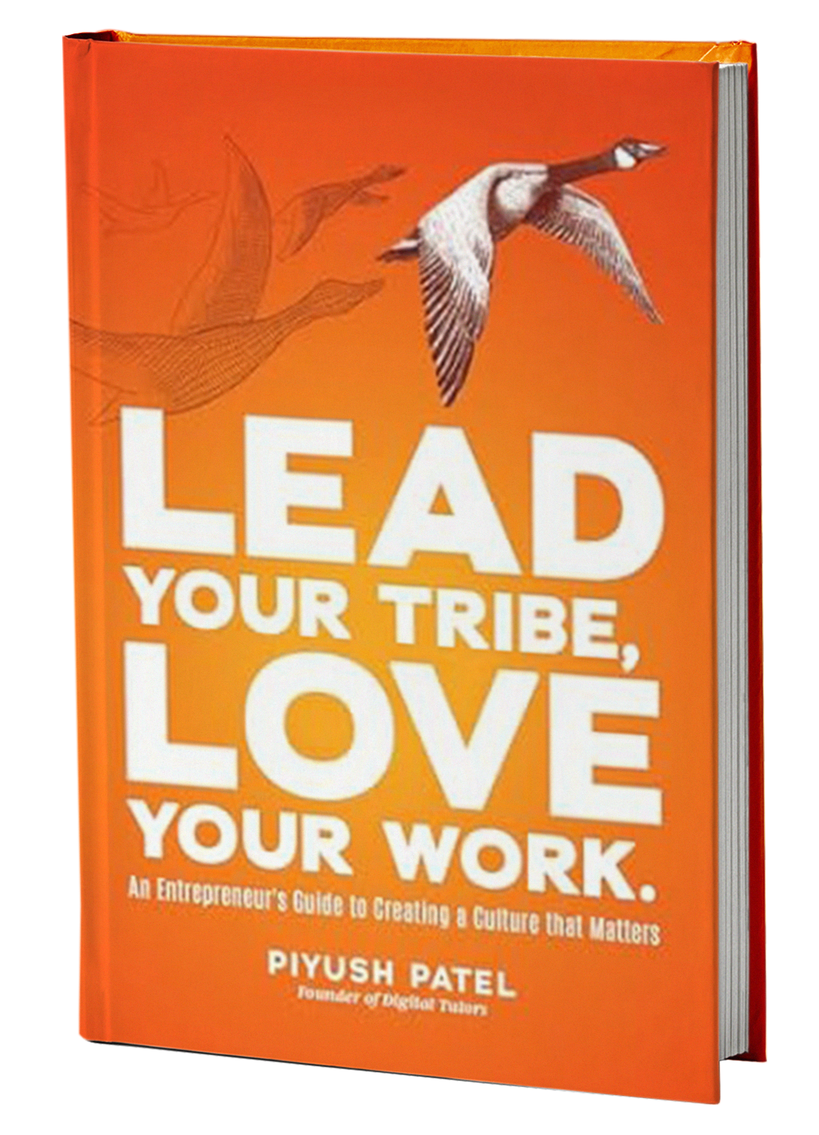 Book titled "Lead Your Tribe, Love Your Work" by Piyush Patel, featuring a flying bird on the cover.