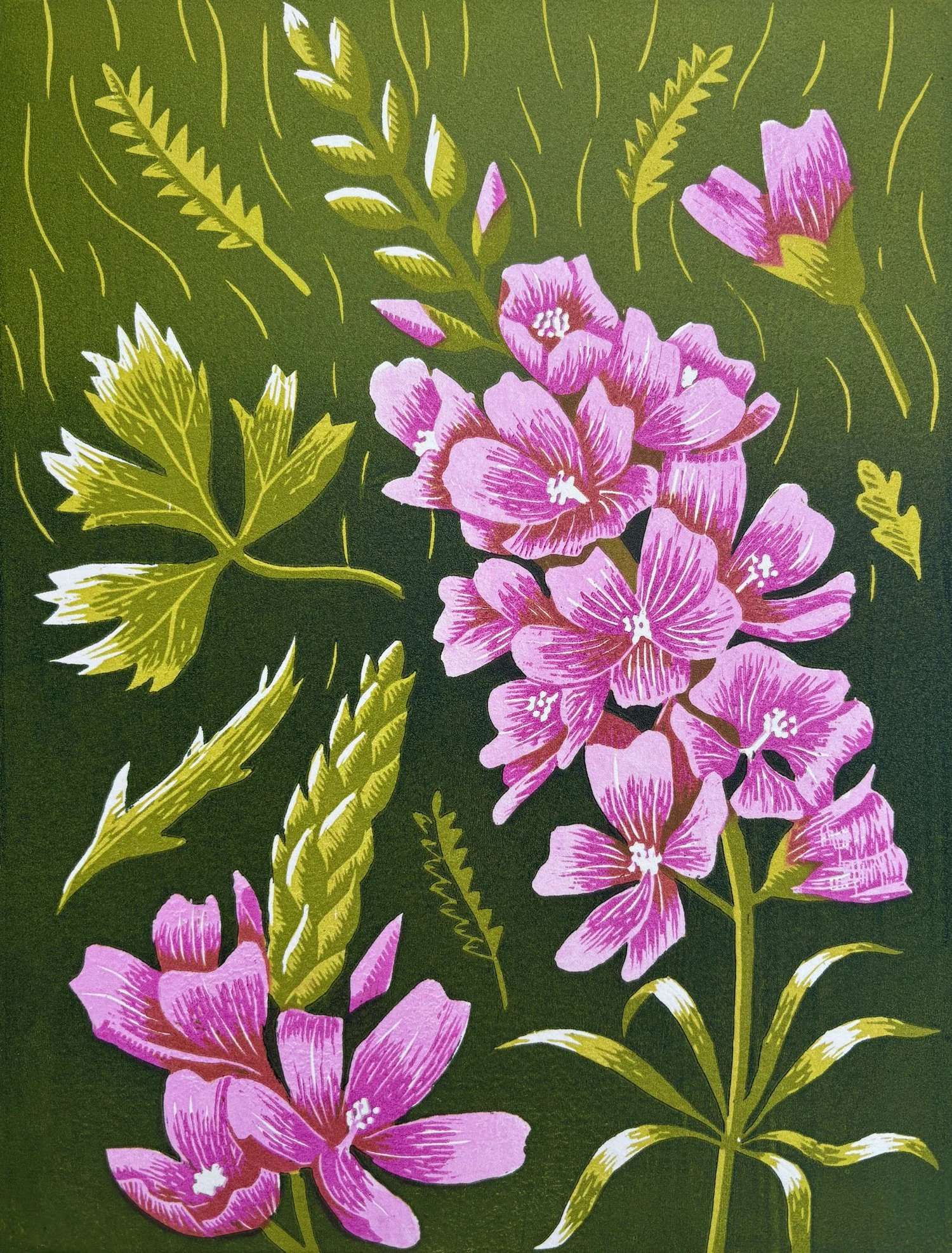 Wenatchee Mountains Checker-mallow, 12" x 9", Edition of 13